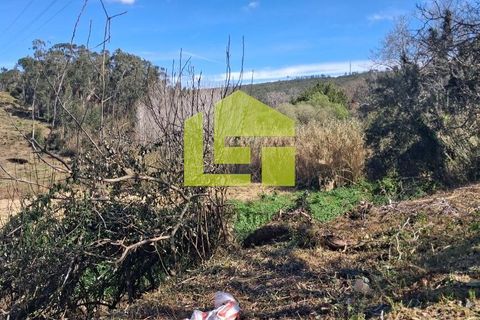 Helårsgrund i Condeixa-a-Nova, Coimbra, Condeixa-a-Nova - € 70.000 | Ref: LT1468 - foto 21