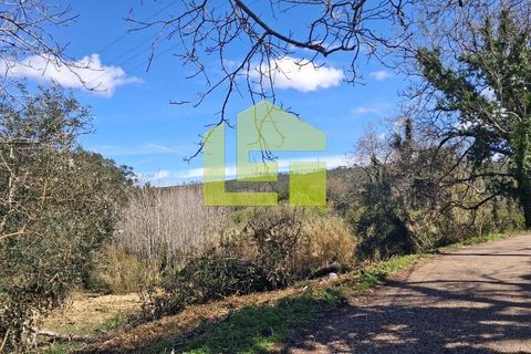 Helårsgrund i Condeixa-a-Nova, Coimbra, Condeixa-a-Nova - € 70.000 | Ref: LT1468 - foto 11