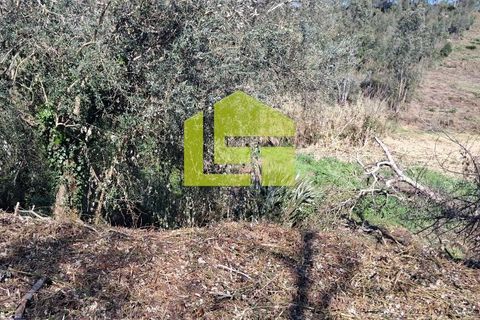 Helårsgrund i Condeixa-a-Nova, Coimbra, Condeixa-a-Nova - € 70.000 | Ref: LT1468 - foto 12