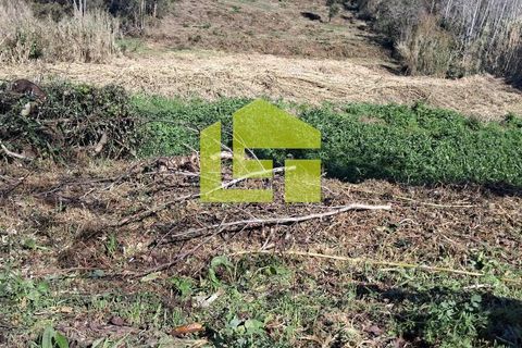 Helårsgrund i Condeixa-a-Nova, Coimbra, Condeixa-a-Nova - € 70.000 | Ref: LT1468 - foto 13
