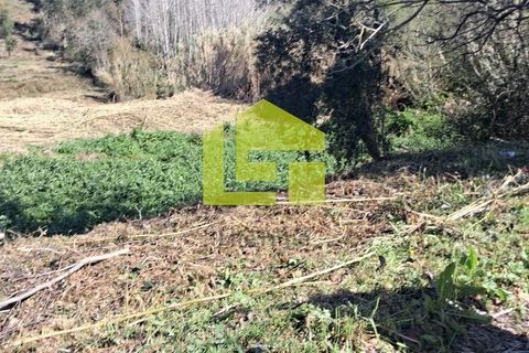 Helårsgrund i Condeixa-a-Nova, Coimbra, Condeixa-a-Nova - € 70.000 | Ref: LT1468 - foto 23