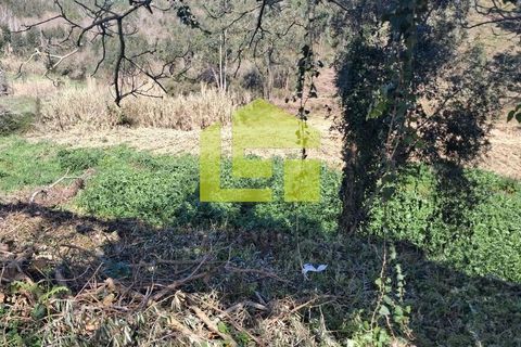 Helårsgrund i Condeixa-a-Nova, Coimbra, Condeixa-a-Nova - € 70.000 | Ref: LT1468 - foto 24