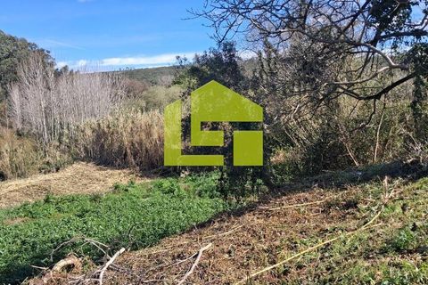 Helårsgrund i Condeixa-a-Nova, Coimbra, Condeixa-a-Nova - € 70.000 | Ref: LT1468 - foto 25