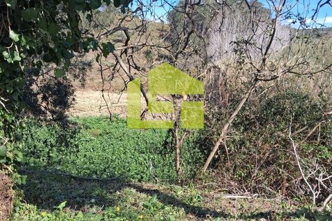 Helårsgrund i Condeixa-a-Nova, Coimbra, Condeixa-a-Nova - € 70.000 | Ref: LT1468 - foto 28