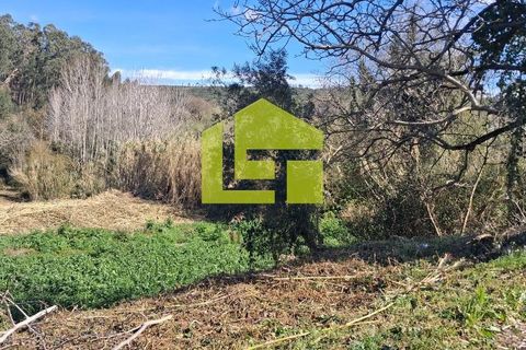 Helårsgrund i Condeixa-a-Nova, Coimbra, Condeixa-a-Nova - € 70.000 | Ref: LT1468 - foto 29