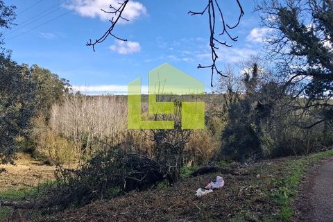 Helårsgrund i Condeixa-a-Nova, Coimbra, Condeixa-a-Nova - € 70.000 | Ref: LT1468 - foto 30