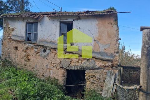 Helårsgrund i Condeixa-a-Nova, Coimbra, Condeixa-a-Nova - € 70.000 | Ref: LT1468 - foto 34