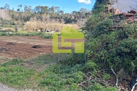 Helårsgrund i Condeixa-a-Nova, Coimbra, Condeixa-a-Nova - € 70.000 | Ref: LT1468 - foto 36