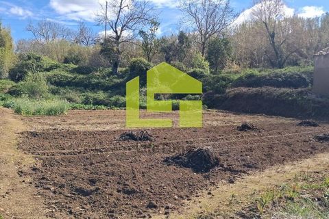 Helårsgrund i Condeixa-a-Nova, Coimbra, Condeixa-a-Nova - € 70.000 | Ref: LT1468 - foto 37