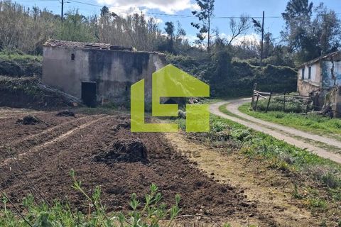 Helårsgrund i Condeixa-a-Nova, Coimbra, Condeixa-a-Nova - € 70.000 | Ref: LT1468 - foto 38