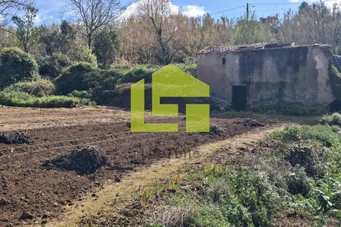 Helårsgrund i Condeixa-a-Nova, Coimbra, Condeixa-a-Nova - € 70.000 | Ref: LT1468 - foto 39