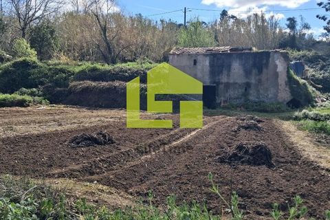 Helårsgrund i Condeixa-a-Nova, Coimbra, Condeixa-a-Nova - € 70.000 | Ref: LT1468 - foto 40