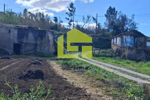 Helårsgrund i Condeixa-a-Nova, Coimbra, Condeixa-a-Nova - € 70.000 | Ref: LT1468 - foto 42