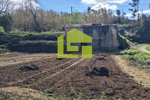 Helårsgrund i Condeixa-a-Nova, Coimbra, Condeixa-a-Nova - € 70.000 | Ref: LT1468 - foto 43