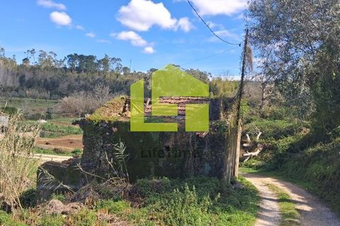Helårsgrund i Condeixa-a-Nova, Coimbra, Condeixa-a-Nova - € 70.000 | Ref: LT1468 - foto 14