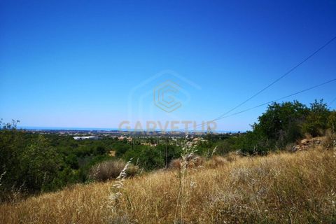 Byhus i Boliqueime, Faro, Boliqueime - € 295.000 | Ref: 15/M/01866 - foto 3