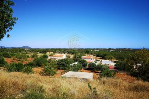 Byhus i Boliqueime, Faro, Boliqueime - € 295.000 | Ref: 15/M/01866 - foto 4