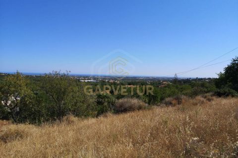 Byhus i Boliqueime, Faro, Boliqueime - € 295.000 | Ref: 15/M/01866 - foto 5