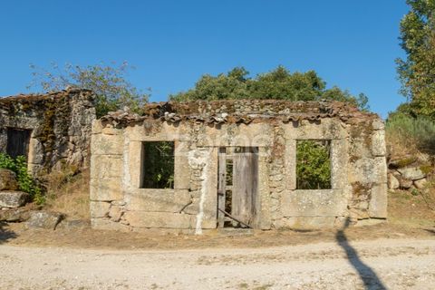 Helårsgrund i Codesseiro, Guarda, Codesseiro - € 57.500 | Ref: ZMPT582101 - foto 4