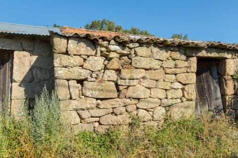 Helårsgrund i Codesseiro, Guarda, Codesseiro - € 57.500 | Ref: ZMPT582101 - foto 8
