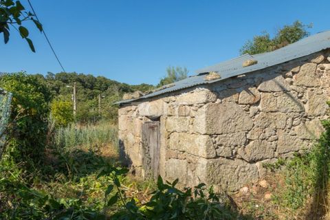 Helårsgrund i Codesseiro, Guarda, Codesseiro - € 57.500 | Ref: ZMPT582101 - foto 10
