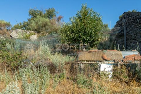 Helårsgrund i Codesseiro, Guarda, Codesseiro - € 57.500 | Ref: ZMPT582101 - foto 12