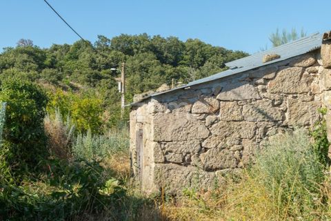Helårsgrund i Codesseiro, Guarda, Codesseiro - € 57.500 | Ref: ZMPT582101 - foto 14