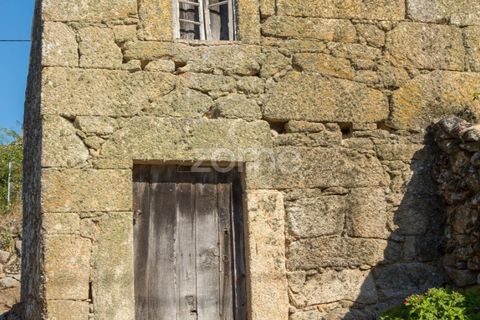 Helårsgrund i Codesseiro, Guarda, Codesseiro - € 57.500 | Ref: ZMPT582101 - foto 16