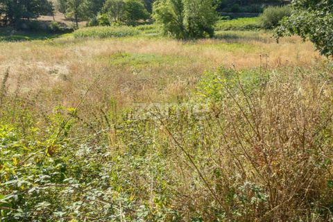 Helårsgrund i Codesseiro, Guarda, Codesseiro - € 57.500 | Ref: ZMPT582101 - foto 24