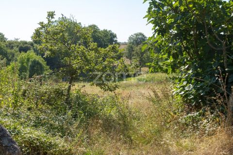 Helårsgrund i Codesseiro, Guarda, Codesseiro - € 57.500 | Ref: ZMPT582101 - foto 25