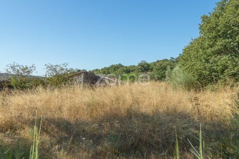 Helårsgrund i Codesseiro, Guarda, Codesseiro - € 57.500 | Ref: ZMPT582101 - foto 26