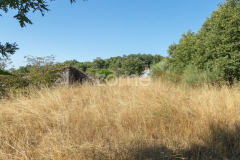 Helårsgrund i Codesseiro, Guarda, Codesseiro - € 57.500 | Ref: ZMPT582101 - foto 27