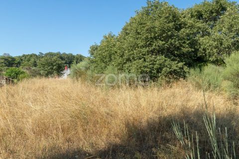 Helårsgrund i Codesseiro, Guarda, Codesseiro - € 57.500 | Ref: ZMPT582101 - foto 28