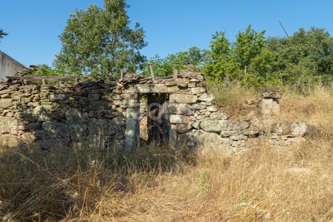 Helårsgrund i Codesseiro, Guarda, Codesseiro - € 57.500 | Ref: ZMPT582101 - foto 30