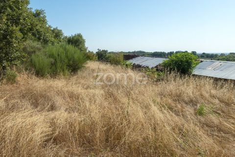 Helårsgrund i Codesseiro, Guarda, Codesseiro - € 57.500 | Ref: ZMPT582101 - foto 31