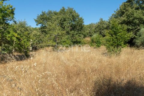 Helårsgrund i Codesseiro, Guarda, Codesseiro - € 57.500 | Ref: ZMPT582101 - foto 32