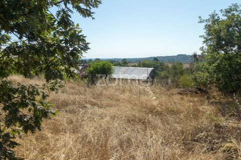 Helårsgrund i Codesseiro, Guarda, Codesseiro - € 57.500 | Ref: ZMPT582101 - foto 33