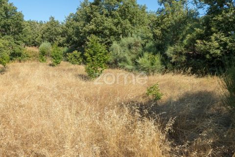 Helårsgrund i Codesseiro, Guarda, Codesseiro - € 57.500 | Ref: ZMPT582101 - foto 35