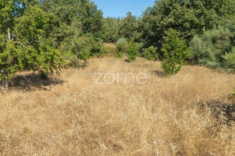 Helårsgrund i Codesseiro, Guarda, Codesseiro - € 57.500 | Ref: ZMPT582101 - foto 36