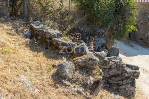 Helårsgrund i Codesseiro, Guarda, Codesseiro - € 57.500 | Ref: ZMPT582101 - foto 38