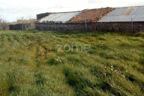 Helårsgrund i Codesseiro, Guarda, Codesseiro - € 57.500 | Ref: ZMPT582101 - foto 41