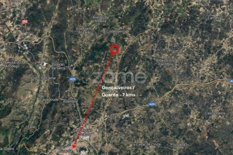 Helårsgrund i Codesseiro, Guarda, Codesseiro - € 57.500 | Ref: ZMPT582101 - foto 47