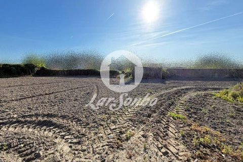 Villa i Vila do Conde, Porto, Vila do Conde - € 426.000 | Ref: 240-M-26220 - foto 7