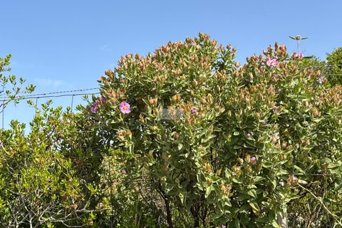 Helårsgrund i Lagos, Faro, Lagos - € 160.000 | Ref: T0554 - foto 7