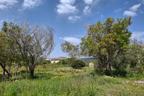 Landejendom i Teulada, Alicante, Teulada - € 1.800.000 | Ref: N6732 - foto 9