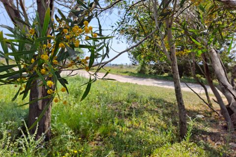 Landejendom i Teulada, Alicante, Teulada - € 1.800.000 | Ref: N6732 - foto 15