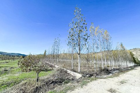 Villa a Benameji, Cordoba, Benameji - € 185.000 | Ref: e34def5d-466d-4f7f-a - foto 11