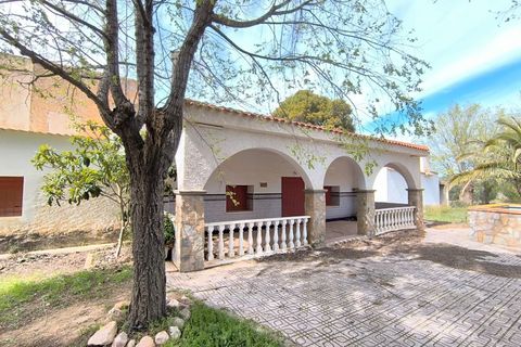 Masia a Yecla, Murcia, Yecla - € 1.000.000 | Ref: 70102c - foto 5