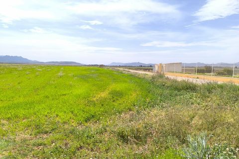 Masia a Yecla, Murcia, Yecla - € 1.000.000 | Ref: 70102c - foto 9
