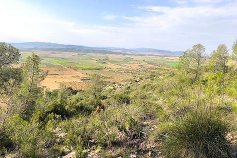 Helårsgrund i Yecla, Murcia, Yecla - € 240.000 | Ref: 70108 - foto 1